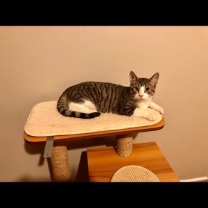 Meet your Posher, Adil